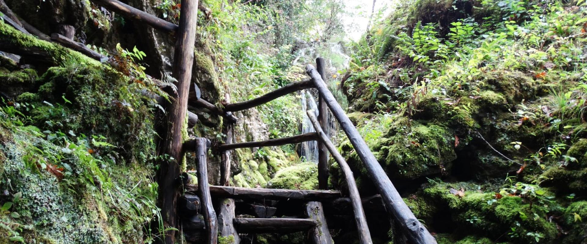 Rustic wooden stairs amidst lush greenery in Rastoke, Croatia, offering a serene natural escape.