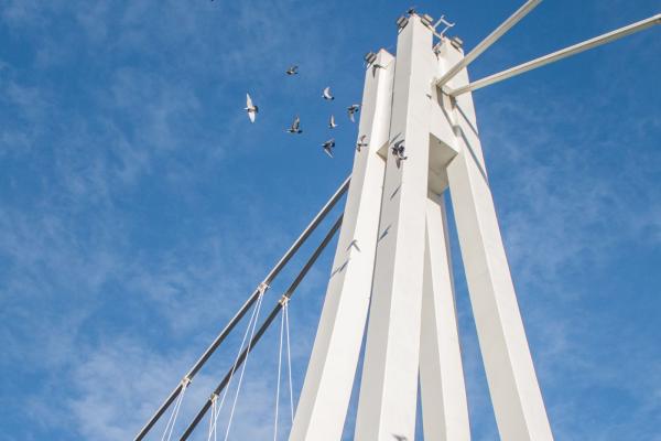 Pedestrian Bridge Over the Drava
